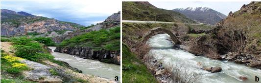 Giriş Tunceli ili; Doğu Anadolu Bölgesi nin Yukarı Fırat Havzası olarak adlandırılan bölümünde yer almakta olup ilin kuzeyinde Munzur Dağları ve Karasu Nehri, doğusunda Bingöl Dağları ve Peri Suyu,