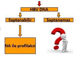 İzole Anti-HBcPozitifliğinin Önemi HBV ile teması gösterir Genellikle yaşam boyu kalır Reaktivasyon riski vardır PreemptifHBV tedavisi