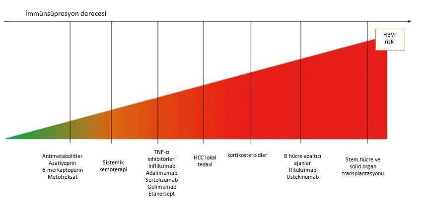 HBV Reaktivasyon Risk Sınıflaması Ref : Bessone F