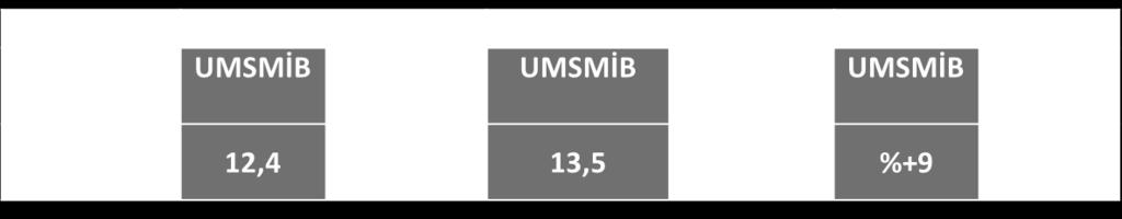 UMSMİB ve Türkiye Geneli MSM Aylık İhracatı 2018 yılı Aralık