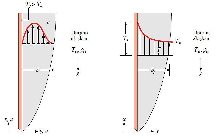 1.2.2. Doğal Taşınım Doğal taşınımda akışkan hareketi akışkan içerisindeki sıcaklık değişiminden dolayı ortaya çıkan yoğunluk farkından kaynaklanan kaldırma kuvveti etkisinde oluşur.