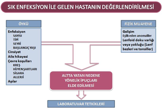 ENFEKSİYON SAYISI Yılda 8 ÜSYE Yılda 4 Otit Yılda 2 Pnömoni Yılda 4 kanıtlanmış bakteriyel enfeksiyon 2 hayatı tehdit eden enfeksiyon ENFEKSİYON TİPİ Fırsatçı mikroorganizmalarla enfeksiyon o PCP o