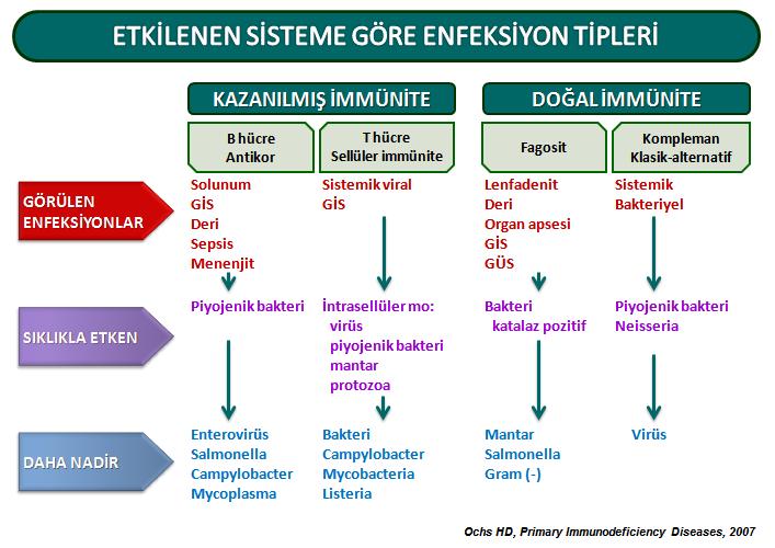 KÖTÜ HİJYEN KOŞULLARI VEYA ENFEKSİYON AJANI İLE SIK KARŞILAŞMA Kreşe veya okula gitme Okula veya kreşe giden kardeş varlığı Bakımevlerinde kalan