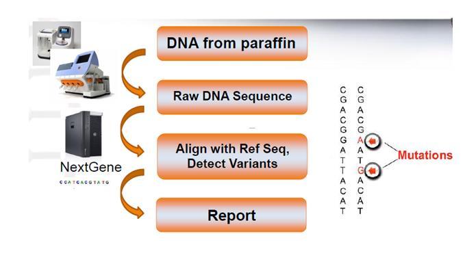 DNA RNA Kim hazırlamalı?