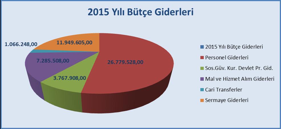 Gerçekleşmesi) ( 15 Yılının Ekonomik