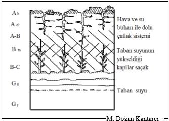 indirgendiği yerlerdir. Bu boz-pas lekeli oluşum durgun suyun varlığının en belirgin göstergesidir.