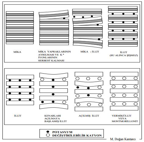 Şekil 27. Mikanın İllit e ve daha sonra vermiküllit ve montmorillonit e dönüşmesi. Montmorillonitlerin katyon değişim kapasitesi 80-120 me/100 g arasında değişir.