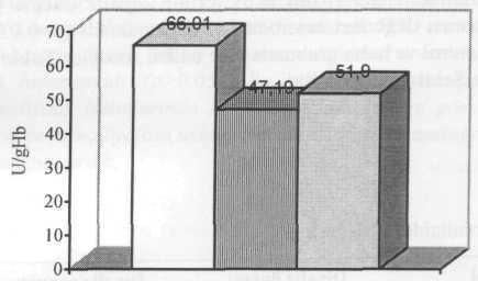 Eritrosit malondialdehid Katalaz aktivitesi.