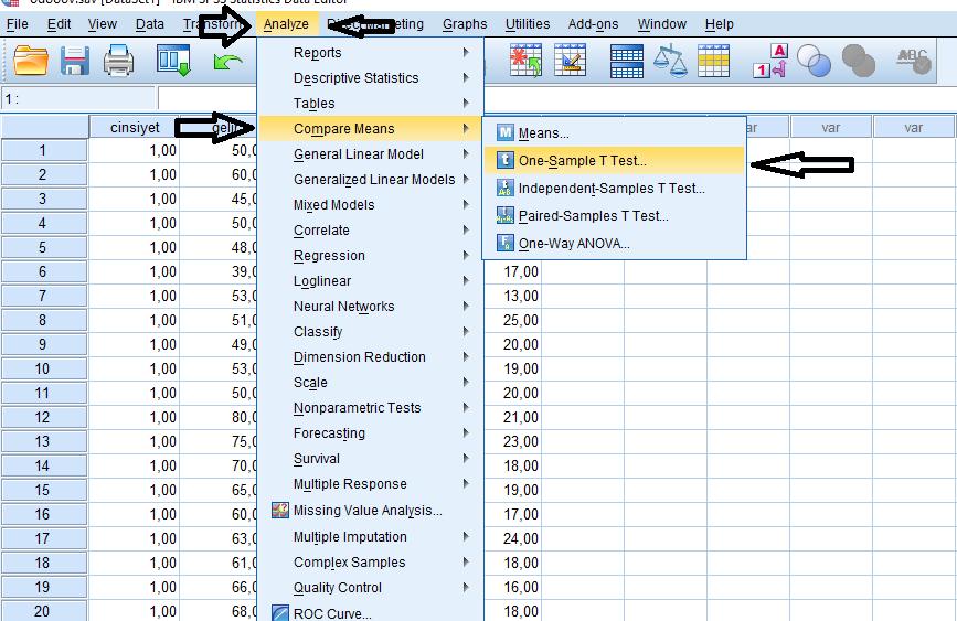 ADIM 1:Uygulamamızda bulunan analiz sekmesinden Compare Means bölümüne tıklayarak One-Sample T-Testi