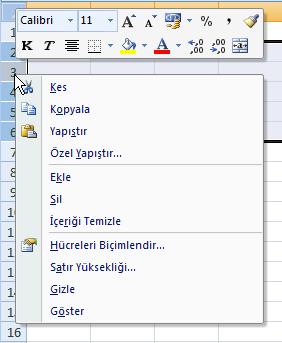 Veri Girme, Silme, DeğiĢtirme; Excel programında bir hücreye veri girmek için fare ile o hücre üzerine tıklayıp veriyi yazıp Enter tuģuna basmak