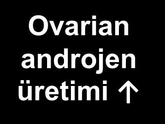 üretimi Ovarian
