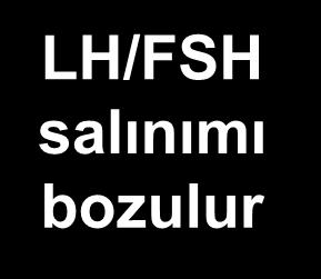 üretimi LH/FSH