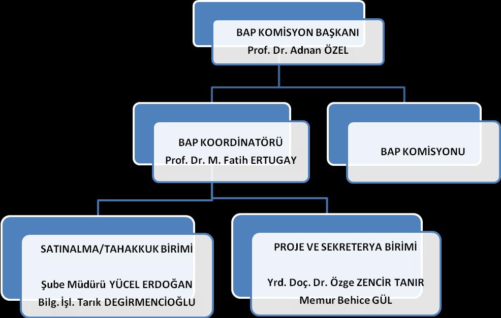 g. Yürütülmekte olan proje yürütücülerinden altı ayda bir alınan ve projelerin ilgili dönemini kapsayan ara raporları değerlendirir, h.