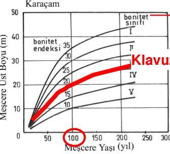 Dolaylı Yöntem 1-Anamorfik Yöntem Klavuz Eğri Aynı Yaşlı