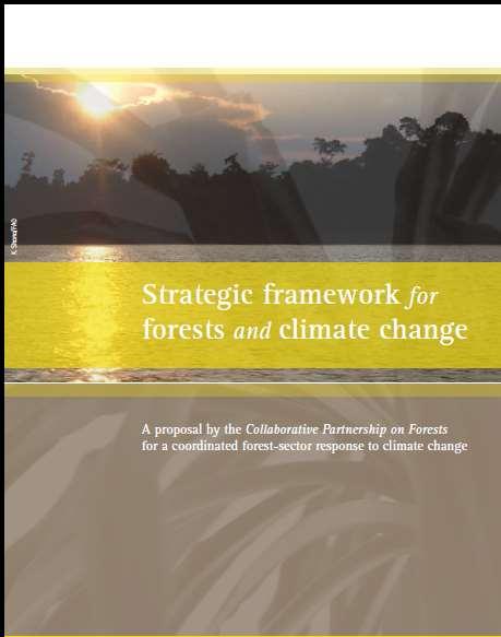 (The Collaborative Partnership on Forests FAO 2008) Öneri 1: Sürdürülebilir orman yönetimi, orman temelli iklim değişikliğinin azaltılması ve adaptasyonu için etkin bir çerçevedir.