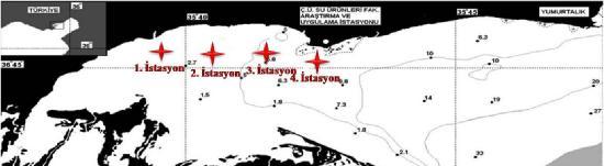 3. MATERYAL VE METOT İrem Nur YEŞİLYURT Örnekleme istasyonlarımız, koyun kuzey kıyısında, koyun en iç kısımdan başlayarak Körfeze doğru aynı hat üzerinde farklı dip yapısına sahip 4 istasyon olarak