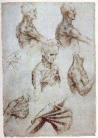Rönesans - 1450-1600 Önemli Kişiler/Olaylar Dahiler yetişti. Leonardo da Vinci - sanatçı, bilim adamı; kemik, kas, sinir sistemi anatomisi çalışmaları.