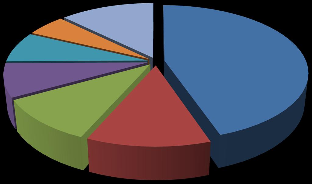 Suudi Arabistan %5 Yunanistan %7 Diğer Ülkeler %13 İran %45 İtalya %8 Hindistan