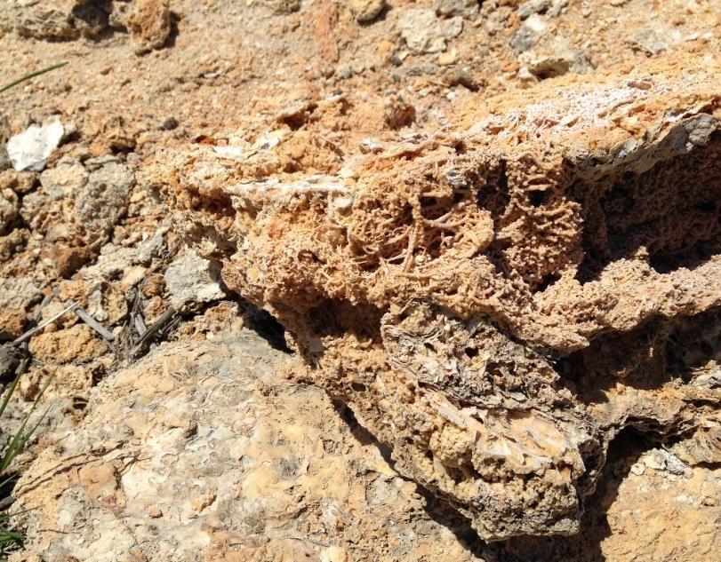 Klorür: Akifer sıcaklığı 150 C nin üzerindeki sularda, genellikle 150 ppm den fazla klorür (kökeni deniz suyu olanlar dışında) bulunur.