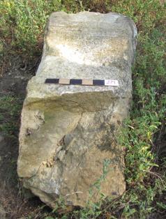 mekte olup Kibyra ve Ephesos tan bilinmektedir 8. 5. Raphael in Mezarı Kumtaşından, üstü profilli, altı kırık bir mezar steli.