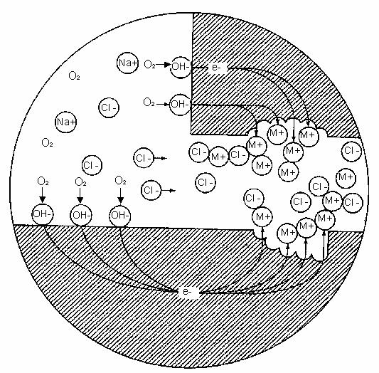 27 Şekil 1.2. Aralık korozyonu (crevice corrosion) (Üneri, 1998). Korozyon, bölgesel (lokal) ve homojen korozyon olarak da 2 ye ayrılabilir. Homojen korozyon, bütün alaşım yüzeyi boyunca gerçekleşir.