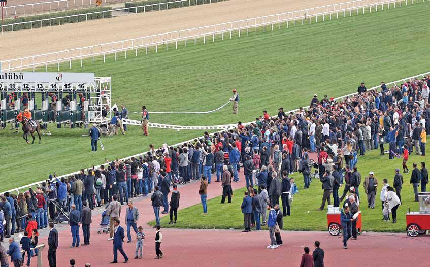 oldu. Öğleden sonra yapılan Cumhurbaşkanlığı ve Cumhuriyet Koşuları da Türkiye nin şampiyon İngiliz ve Arap atlarını bir araya getirdi.