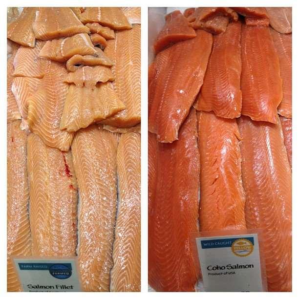 Çiftlik balıkları Somon balığının turuncu-pembe et astaksantin pigmenti Somon balığı asta-ksantin içeren deniz kabukluları beta-karoten içeren algler Bir çok balık asta-ksantin pigmentini yumurta ve