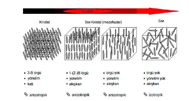 8 Katı fazda moleküller veya atomlar belirgin örgü pozisyonlarında küçük titreģimler gerçekleģtirmekte, ancak dönmemektedir.