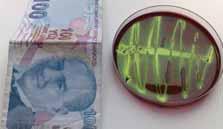 PROJELERİMİZ Parayla Bulaşan Mikroplara Elveda Eyüp Kaan Taşpolat 7G Projenin amacı: UV ışığı sayesinde paralara zarar vermeden üzerlerindeki mikroplardan arındırılması ve insan sağlığının korunması.