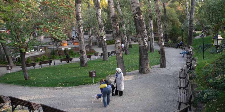 çalışmaları sırasında Ağustos 2006 tarihinde Bulvar sınırındaki servi kavaklar (16 adet) ile anıt alıç ağacı ağır yaralanmıştır. Kavakların 14 tanesi ise kurumuştur.