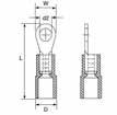 209 Kablo uçları Spec-Kon kablo uçları İzoleli yuvarlak tip kablo uçları İzoleli yuvarlak tip kablo uçları Kablo kesiti (mm²) Renk d2 W (mm) L (mm) D (mm) Paket adedi Tipi TL/100 Adet 0.5-1.