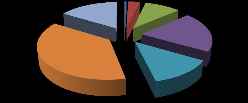 2% 15% 13% İdari Personelin Hizmet Süresi 17% 0 Yıl 1-3 Yıl 4-6 Yıl 7-10 Yıl 11-15 Yıl 16-20 Yıl 21-Üzeri I.C.5.12.