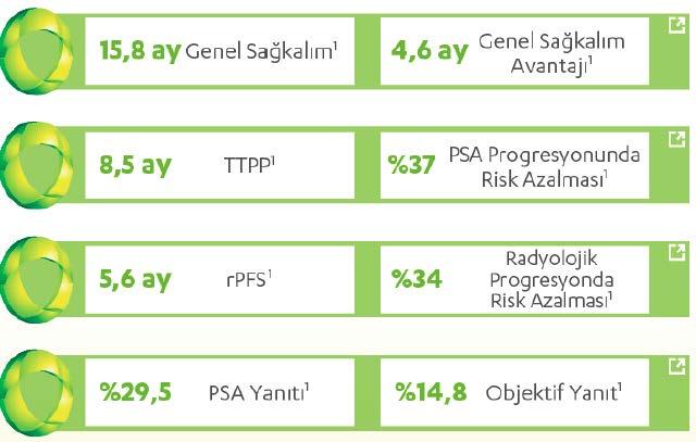 Zytiga Etkililik Fizazi K et al.