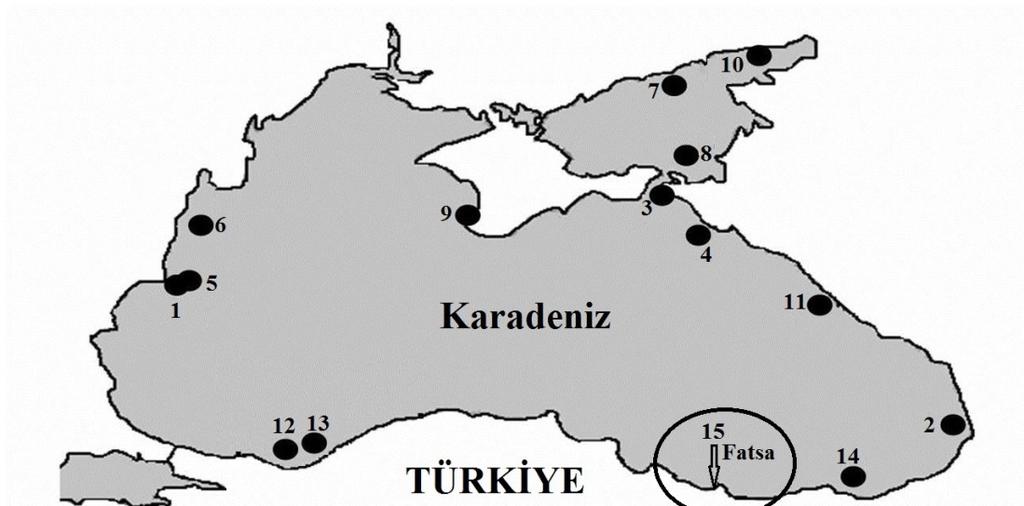 Aydın, Turkish Journal of Maritime and Marine Sciences, 3(2): 121-124 Şekil 1.