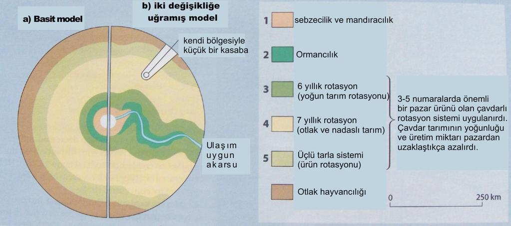 Thünen modeline göre arazi kullanım tipleri Thünen, geliştirmiş olduğu modelinde, pazara uzaklığı esas alarak ve diğer şartları eşit varsayarak iç içe dairler şeklinde