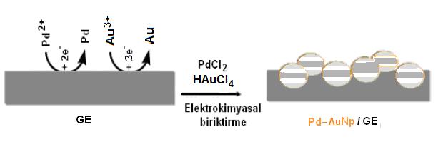75 3.7). Elde edilen Pd-AuNp/GE elektrotlar damıtık su ile yıkanarak desikatörde muhafaza edilmiştir.