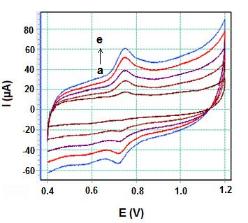 156 Farklı ph larda elde edilen SWV voltamogramlarında karminik asidin oksidasyon pikinin pik potansiyelindeki kayma grafiğe geçirildiğinde elde edilen doğrunun eğimi 56 mv/ph olup eşit sayıda