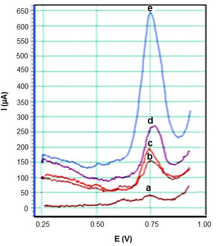 158 PdNp/Pr/GE elektrotta Pd nanopartiküllerin elektrokatalitik özelliğinden dolayı karminik asit için daha büyük bir anodik pik gözlenmiştir.