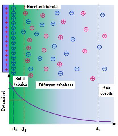 9 Difüzyon tabakasında (d 1 den d 2 e), elektrot yüzeyinden uzaklaşıldıkça ortaya çıkan potansiyel üstel olarak azalır.