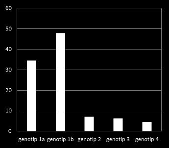Genotip dağılımı Geno_p 1 hasta sayısı 93 (%82,3) geno_p 1b 54 (%47,8) geno_p 1a 39
