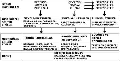 ġekil 5. Stresin Sonuçları Kaynak:http://www.acilveilkyardim.com/acilbakim/homeostazis.htm (Web11