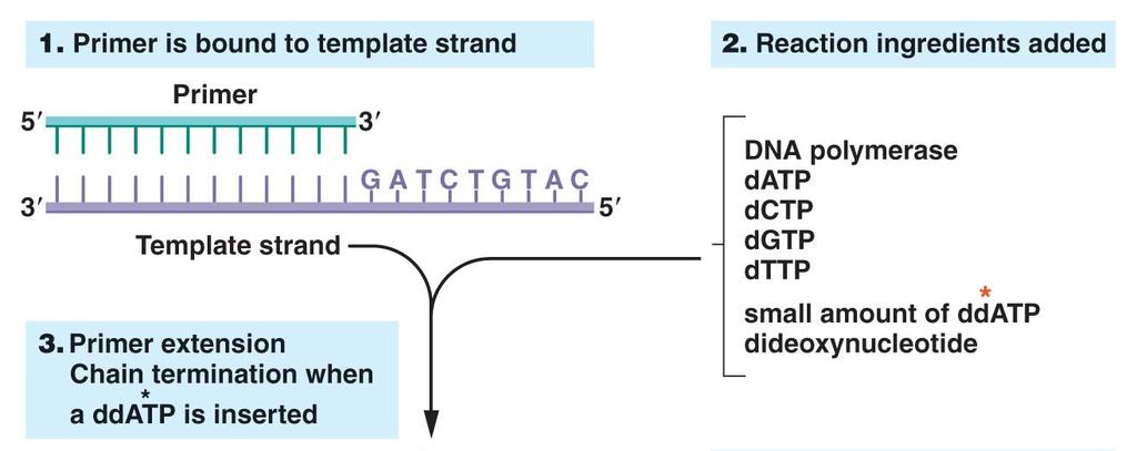 Figure 13.