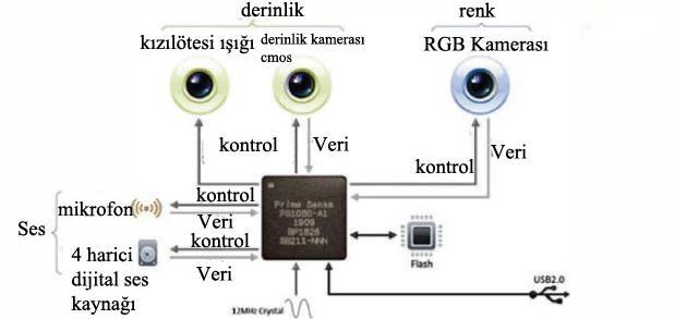 3.2.1. Kinect teknolojisinin temel özellikleri ve bileģenleri Microsoft Kinect sensörünün teknik özelliklerine bakıldığında aşağıdaki sınıflandırma görülmektedir (Kinect, 2012): 1) Sensör a.