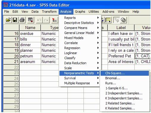 SPSS programında ; ANALYZE»