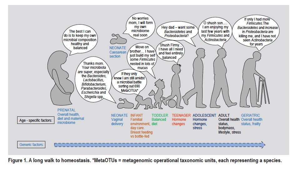 MİKROBİYOTA YOLCULUĞU homeostasis.