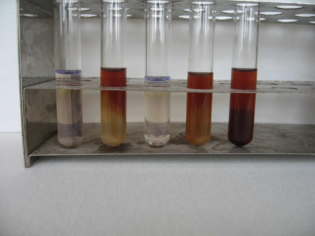 44 4.2.2.7. Jelatinin hidrolizi Jelatin içeren tüplere P. s. pv. phaseolicola aşılanmış; 14 gün sonra 38 P. s. pv. phaseolicola izolatının jelatini sıvılaştırmadığı bu testte negatif sonuç verdikleri belirlenmiştir.