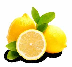 Şalgam Suyu Sarımsaklı Fermented Carrot Juice (Special) Limon Sosu Lemon Sauce KOLİ