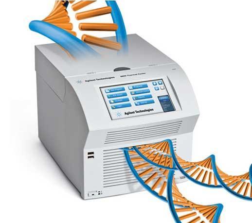 PCR (Polimeraz Zincir Reaksiyonu) Polimeraz zincir reaksiyonu (PCR), in vitro koşullarında DNA dizilerinin çoğaltılması esasına dayanmaktadır.