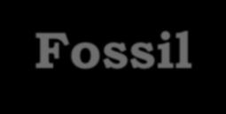 Fossiler Fosiller aşağıdaki şekillerde korunabilir Boş Kalıp (Molds) fosil boşluğu Dolu Kalıp