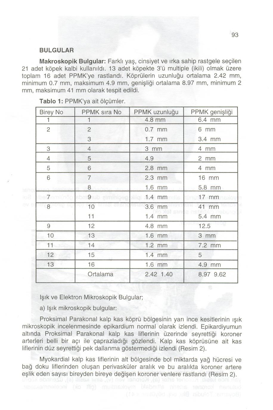 93 BULGULAR MakroskopikBulgular: Farkll ya~, cinsiyet ve Irka sahip rastgele segilen 21 adet kopek kalbi kullanlldl. 13 adet kopekte 3'0 multiple (ikili) olmak Ozere toplam 16 adet PPMK'ye rastlandt.